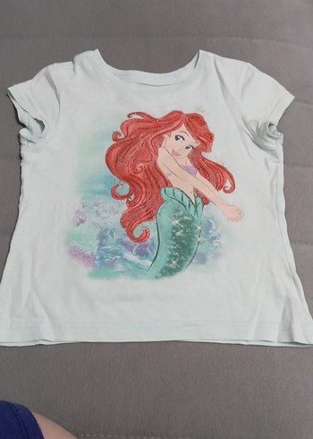 Walt Disney World 24-36 Ay