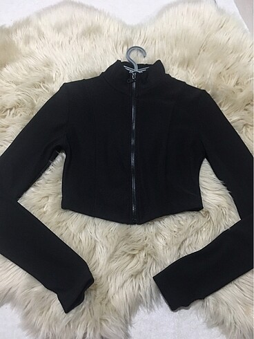 crop body