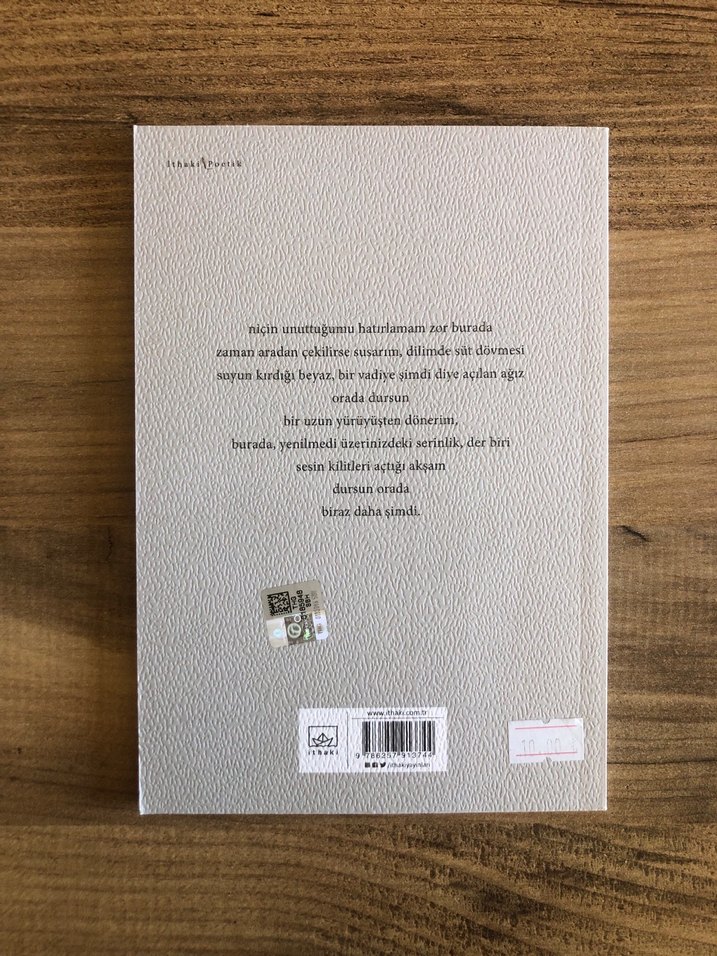 Aynada Yürüyen Sesler - Mehmet Özkan Şükran - Görsel 2