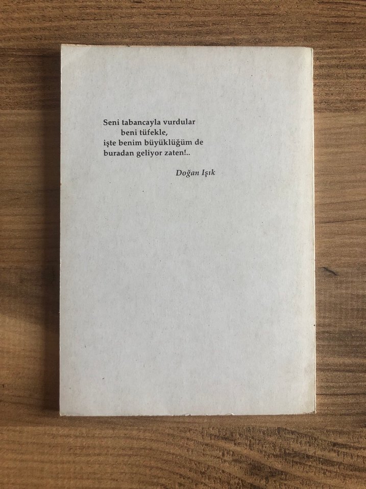 Doğan Işık - Sarı Mavi Roman - Görsel 2