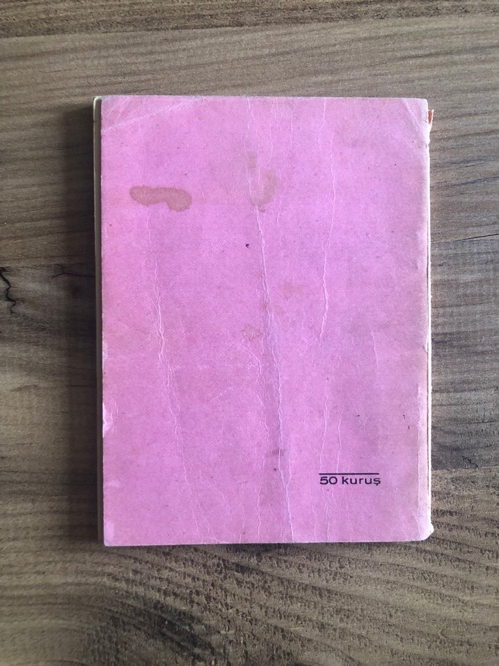 Türk Argosu Tarihçe ve Küçük Sözlük Kitabı - Görsel 2