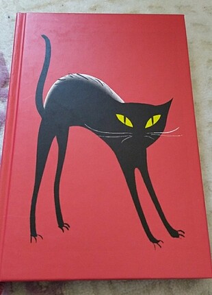 Çizgili Defter
