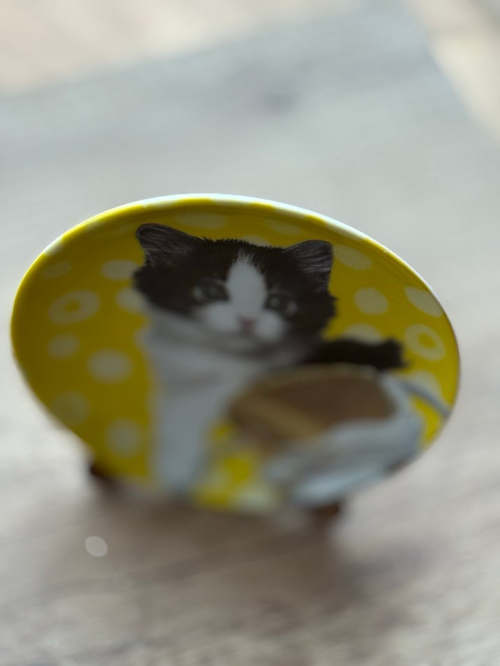 Sarı Parlak Kedi Tabak - Görsel 2