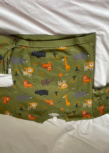 Hayvanlı Yeşil Baskılı Erkek Çocuk Pijaması - Görsel 2