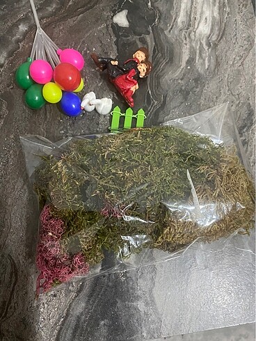 Diğer Terraryum malzemeleri