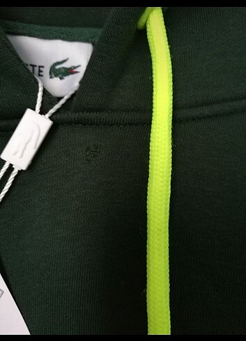 l Beden yeşil Renk Lacoste kadın kapüşonlu sweatshirt 