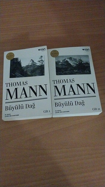 Thomas Mann - Büyülü Dağ