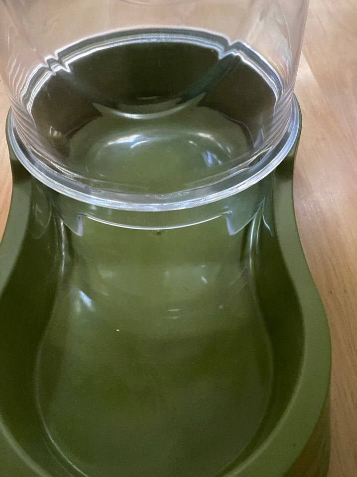 Kedi köpek  Su ve Mama Kabı - Görsel 2