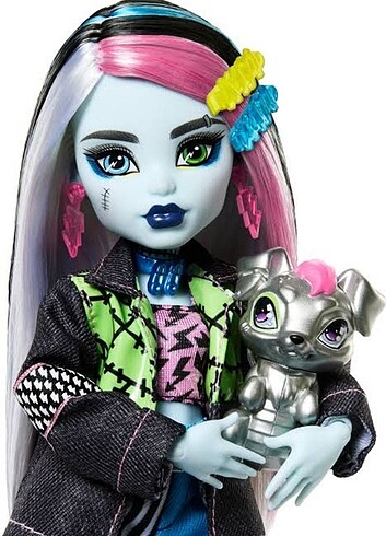 Monster High MONSTER HIGH Acayip Havalı Arkadaşlar - Frankie Stein HXH73