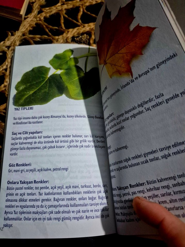 Güzellik İksirleri - Halise Baydar - Görsel 4