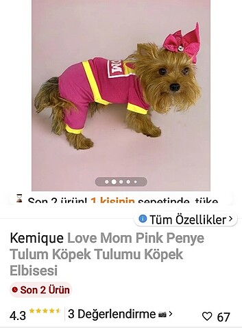 Diğer Kedi..köpek tulum elbise