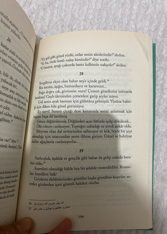 Asaf Halet Çelebi (mevlana ve mevlevilik) - Görsel 2