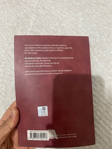 Ah Muhsin Ünlü (gidiyorum bu*) - Görsel 2