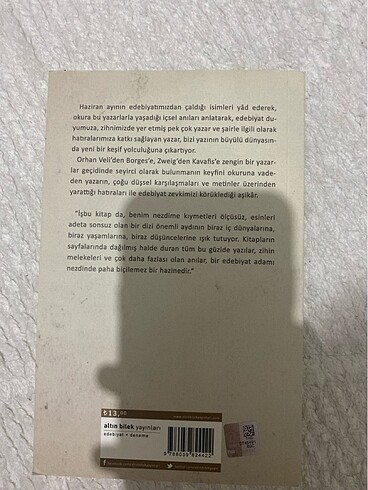 Edebiyatın haziran mezarlığı - Görsel 2