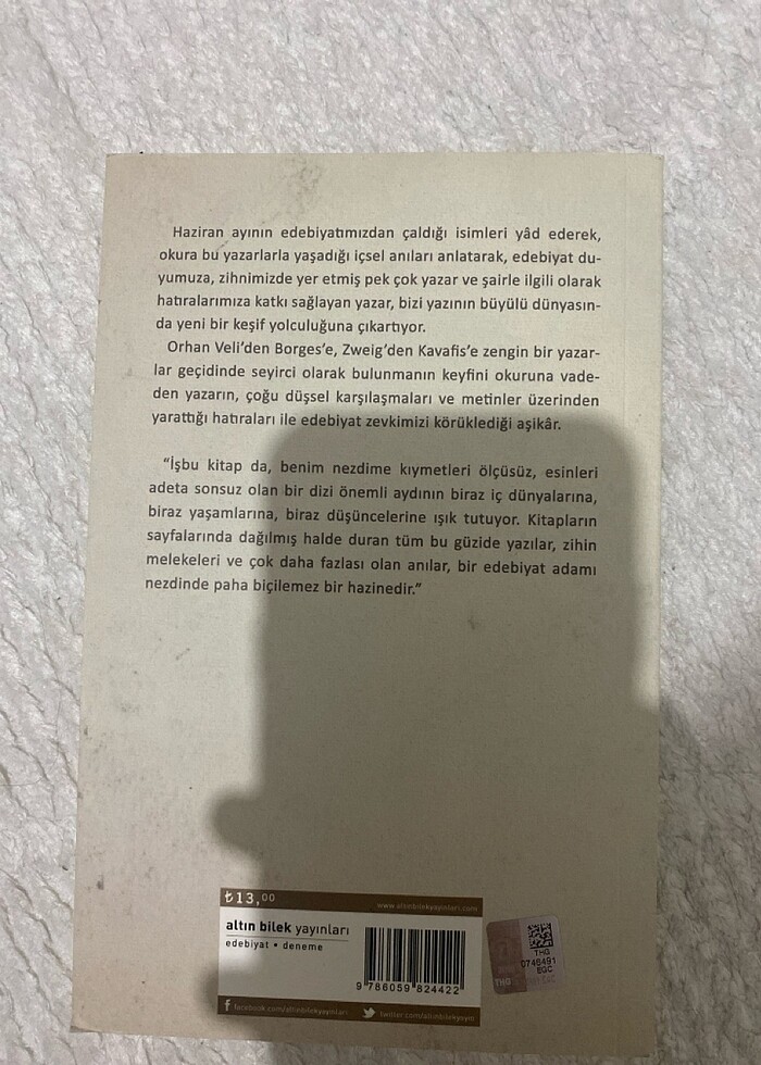 Edebiyatın haziran mezarlığı - Görsel 2