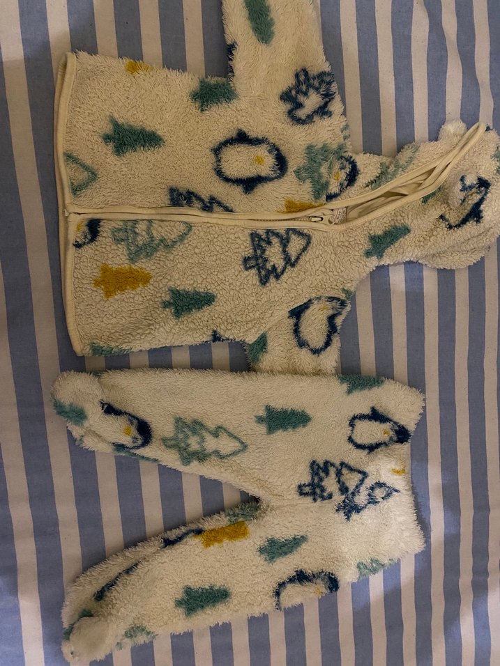 Kapüşonlu Bebek Baskılı Polar  Alt Üst - Görsel 4