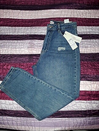 Kot jean