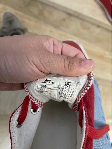 39 Beden koyu kırmızı lacoste