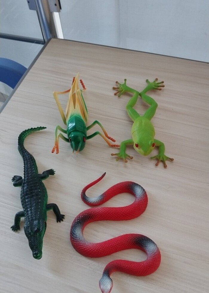 Figür oyuncaklar - Görsel 2