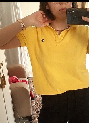 Polo erkek gömlek