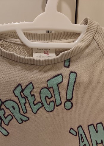 Baskılı Erkek Çocuk Gri Sweatshirt - Görsel 3