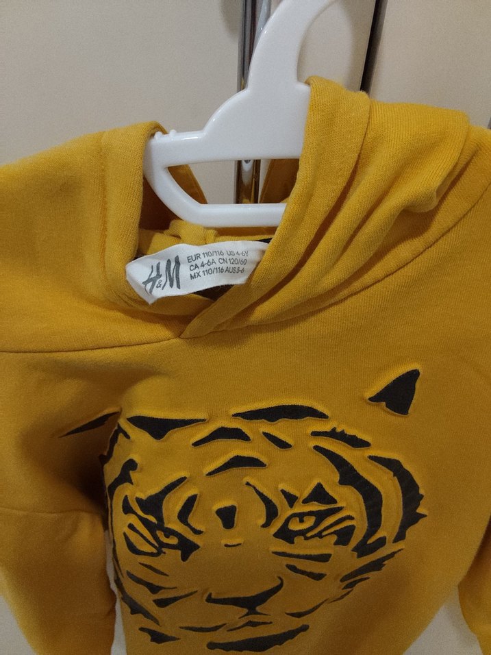 Sarı Erkek Çocuk Kapüşonlu Sweatshirt - Görsel 3