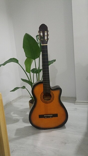 Akustik Gitar