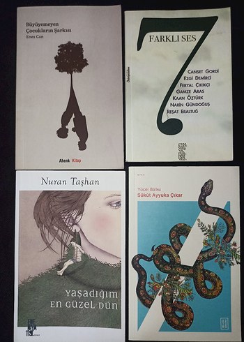 Sükut ayyuka çıkar Farklı Ses, Yaşadığım En Güzel Gün