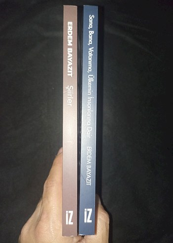 ERDEM BAYAZIT ŞİİRLER VD - Görsel 2