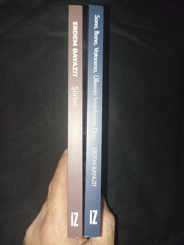 ERDEM BAYAZIT ŞİİRLER VD - Görsel 2