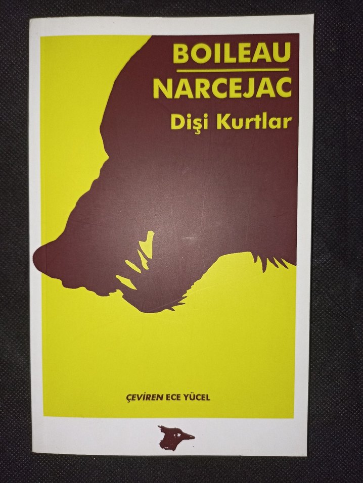 Dört Kitap Dişi Kurtlar, Usher Konağı, Sherlock Holmes, İmkansız - Görsel 2