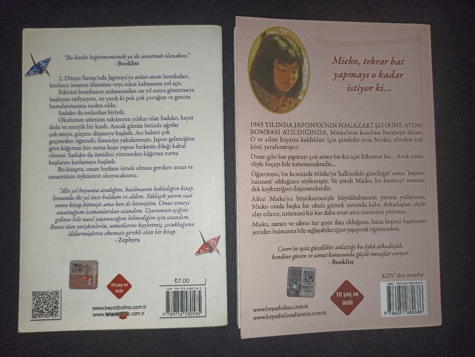 Sadako ve Mieko  - Eilean Coerr - Görsel 2