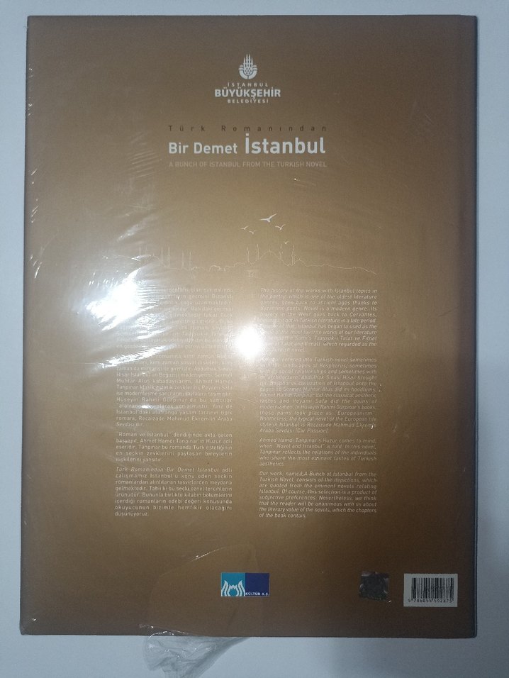 Türk Romanında Bir Demet İstanbul - Görsel 2