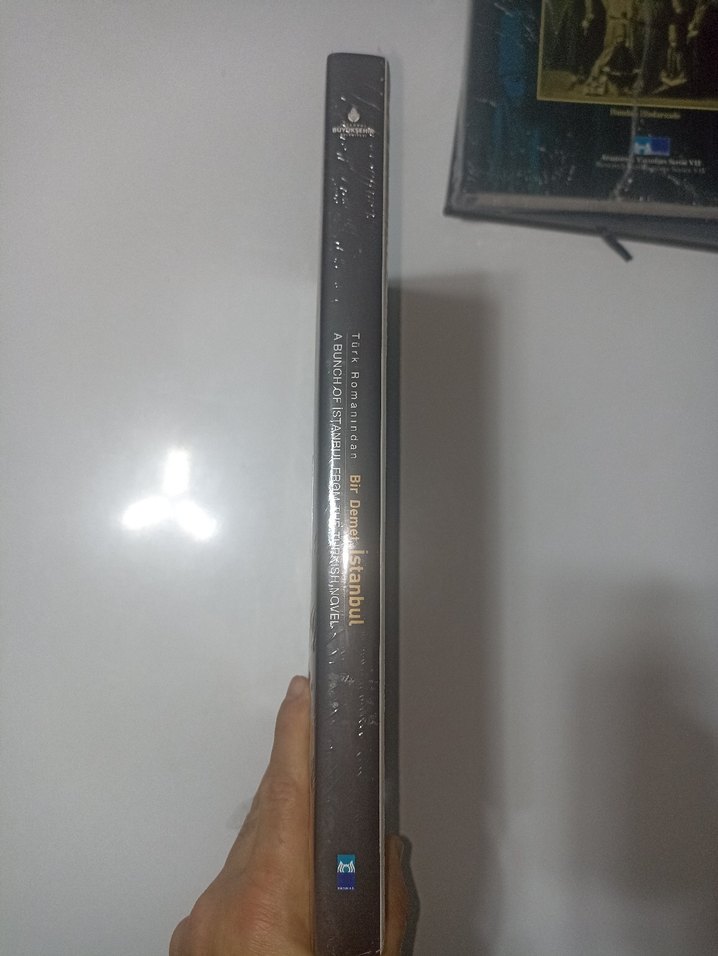 Türk Romanında Bir Demet İstanbul - Görsel 3