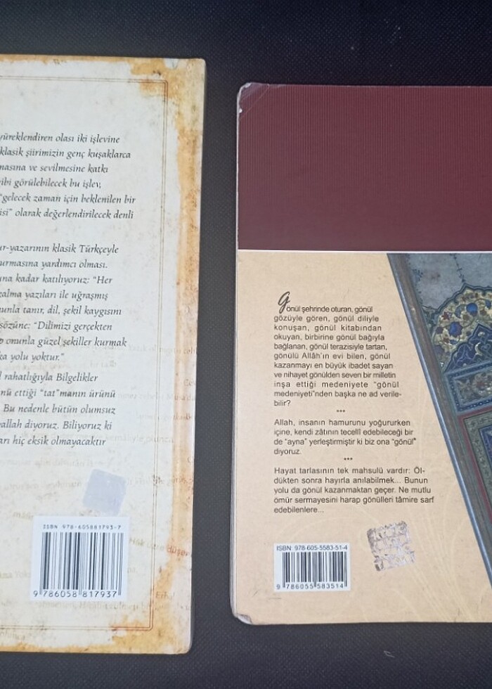 BİLGELİKLER DİVANI VE BEYİTLERİN GÖLGESİNDE  - Görsel 2