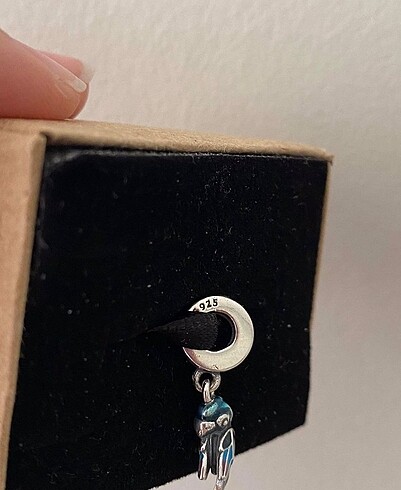 Pandora Charm