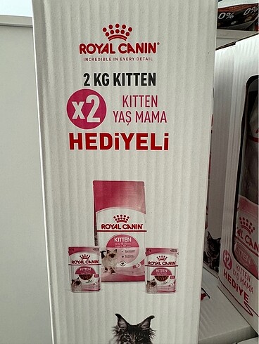  Beden Renk Royal Canin 2 Kilogram Yaş Mama Hediyeli