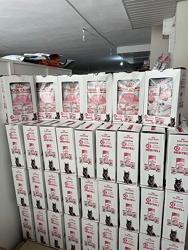 Royal Canin 2 Kilogram Yaş Mama Hediyeli