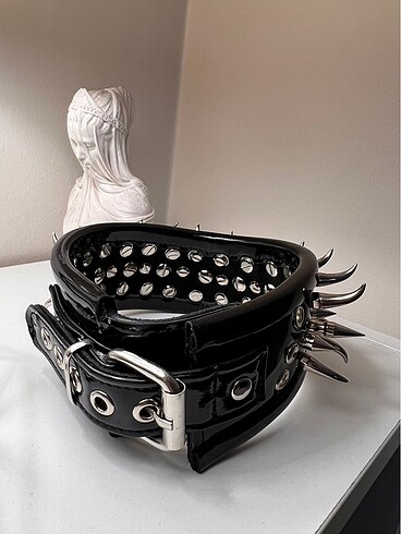 Rugan dikenli tasma - Görsel 5