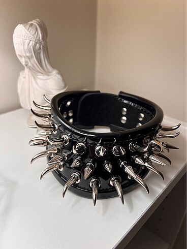 Rugan dikenli tasma - Görsel 6