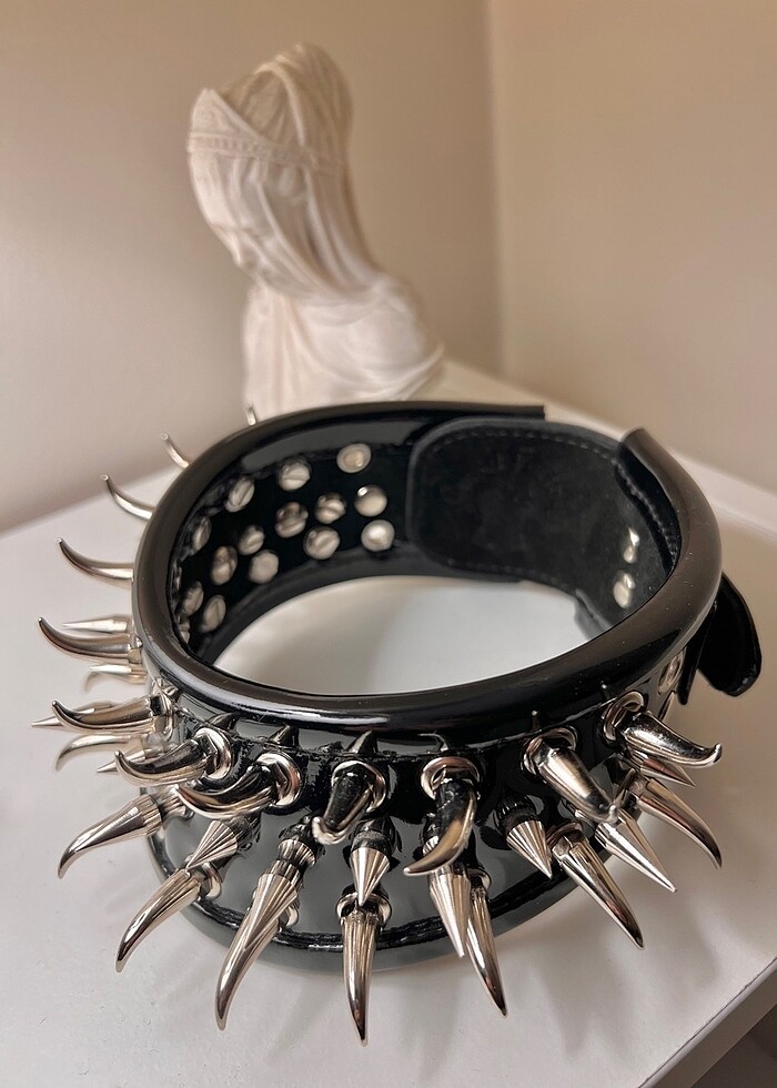 Rugan dikenli tasma - Görsel 2