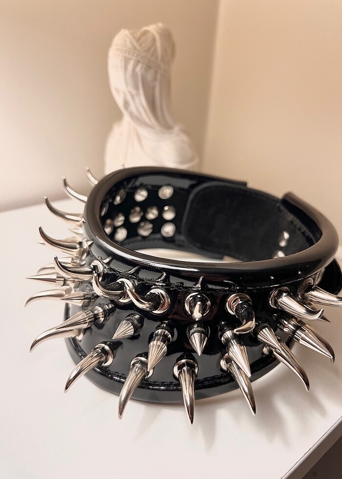 Rugan dikenli tasma - Görsel 3