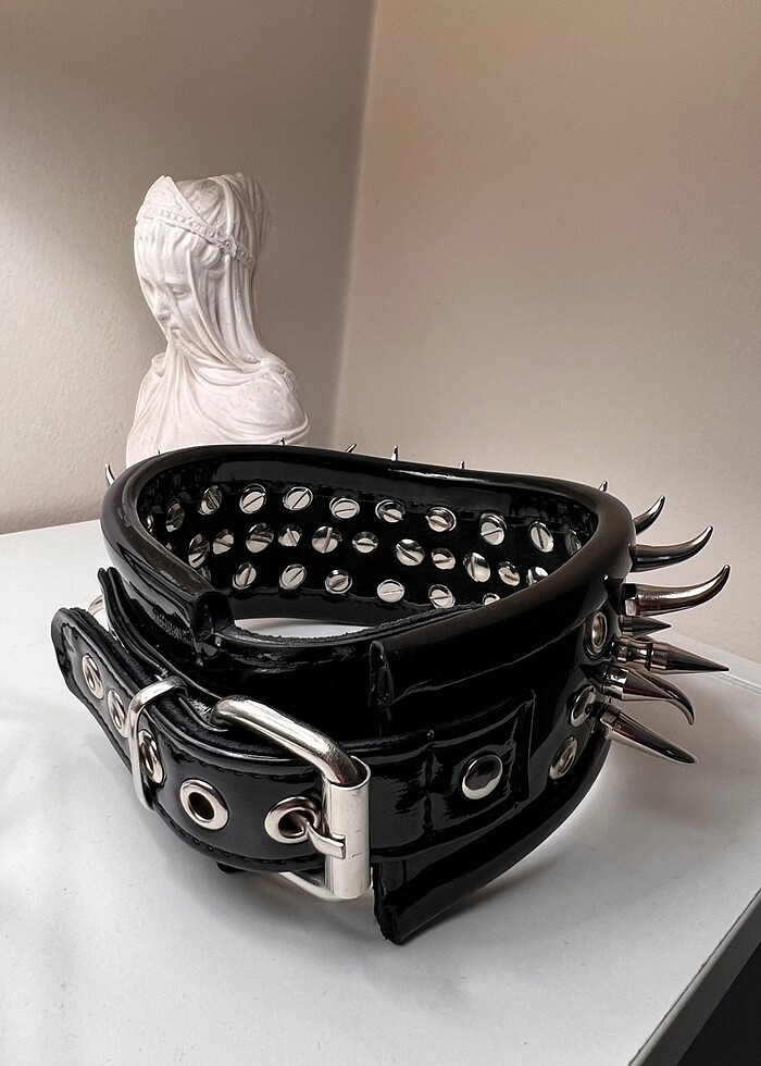 Rugan dikenli tasma - Görsel 5