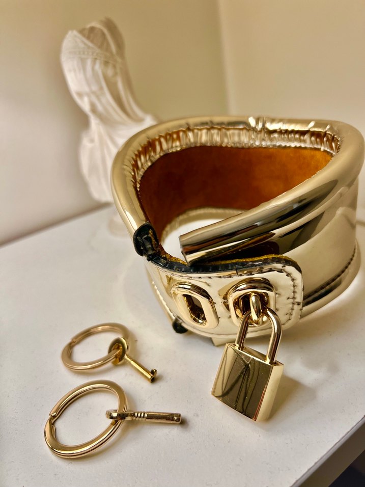 Parlak Altın Renkli  kadın  boyunluk  Aksesuarı - Görsel 2