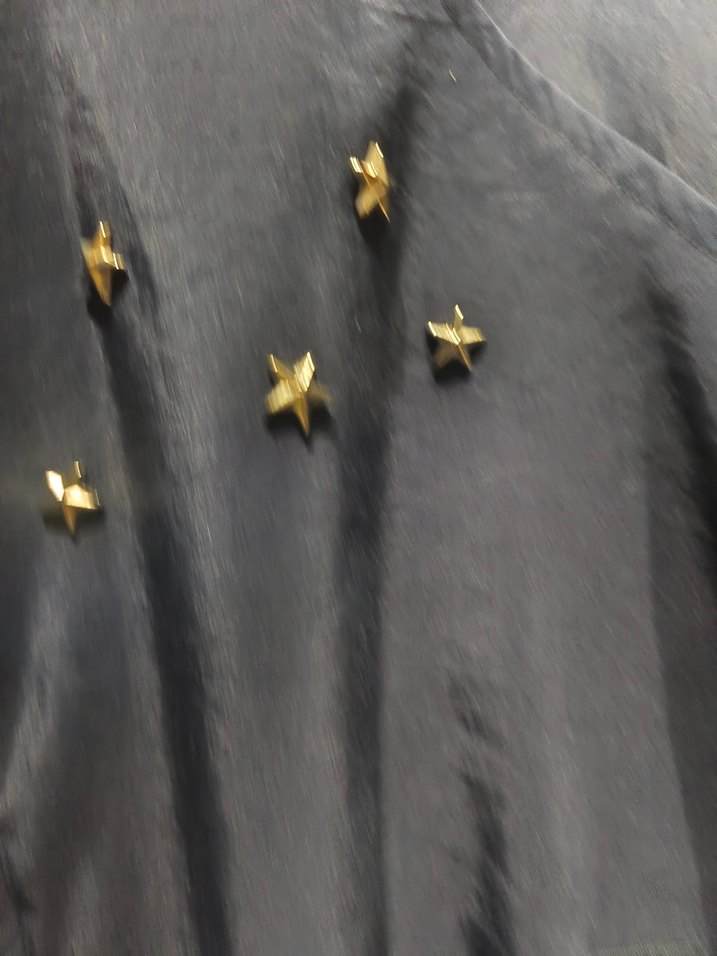 Düğmeli Nakışlı Mavi Kadın Ceket - Görsel 4