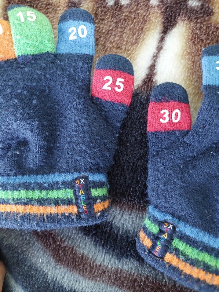 Renkli Parmaklı Erkek Eldiveni+zara bere - Görsel 2