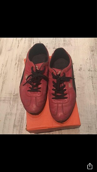 Puma spor