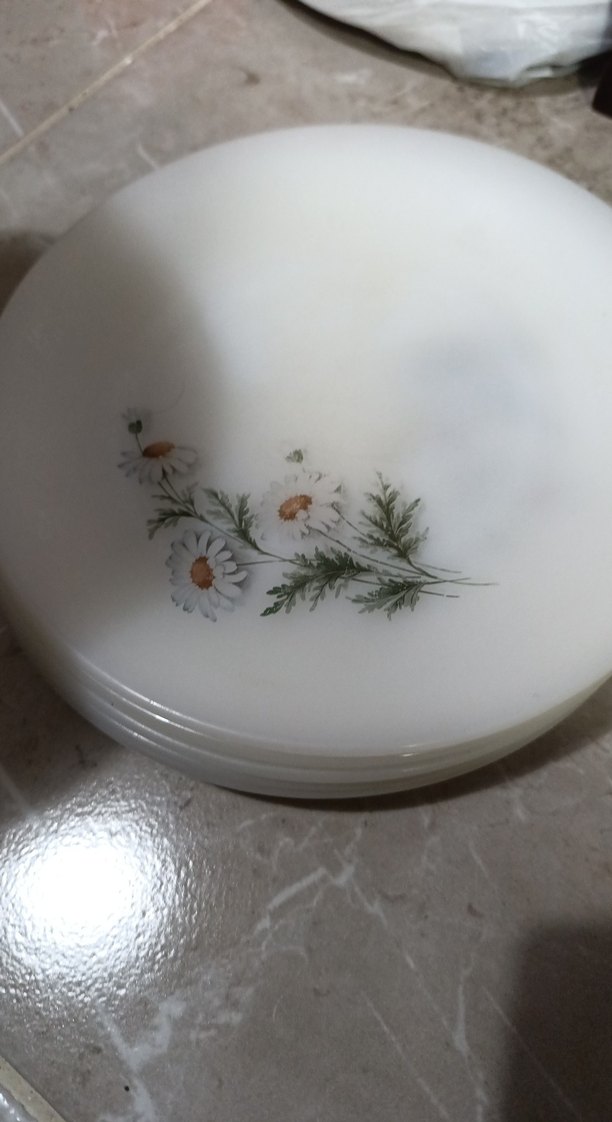 arcopal Fransa papatyalı tabak - Görsel 2