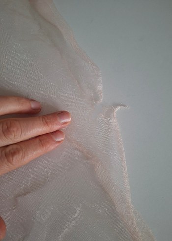 Duvaklı taç - Görsel 4