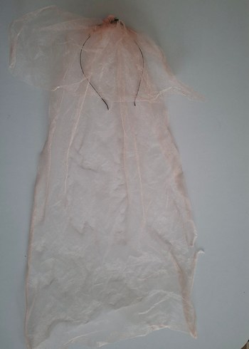 Duvaklı taç - Görsel 3